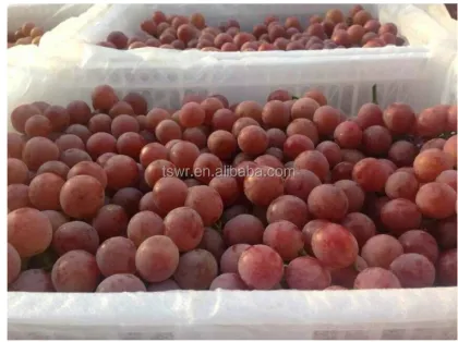 Dunhuang fresh red globe grapes high quality red globe grape strong quality red grapes for sale