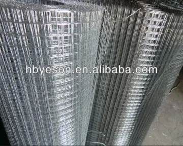 1/2" weld square mesh/welded wire mesh/galvanized wire mesh for pets cage