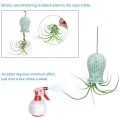 Cute Octopus Air Plant Hanger Wall Planter