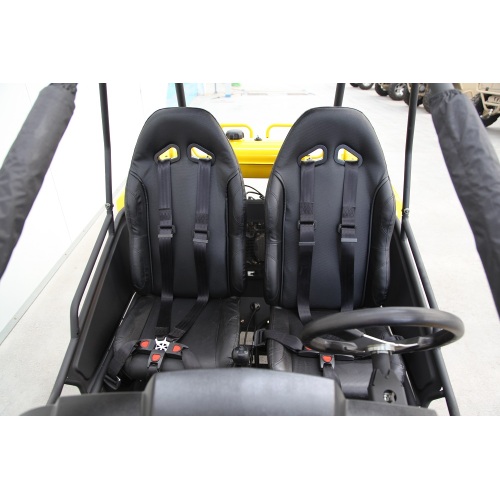 Beach Dune Buggy Tours Coche Adulto Go Karts