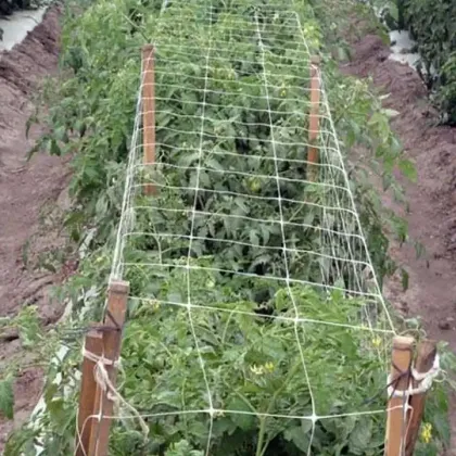 Environmental Beautification Plant Climbing Net