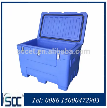 Keep dry ice cold transportation container dry ice cold chain container for dry ice cooling