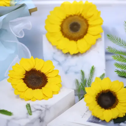 Yunnan Wholesale Preserved Sunflower Yellow: Flower Boxes and Heads