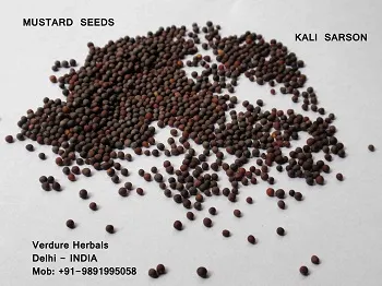Mustard Seeds