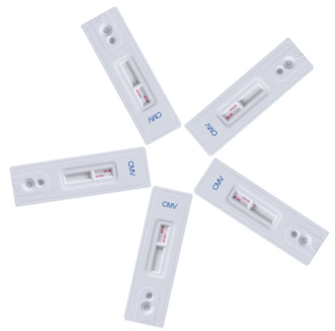 Rapid diagnostic CMV Cytomegalovirus test kit