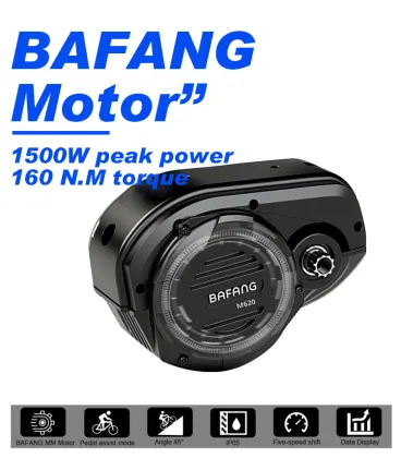 Rohloff 14-Speed Electric Hybrid Bike with Bafang Motor and Dual Batteries