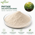 Soil Phytase Enzyme for Organic Phosphorus Release