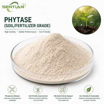 Soil Phytase Enzyme for Organic Phosphorus Release