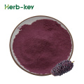 Half Of Mulberry freeze-dried Powder