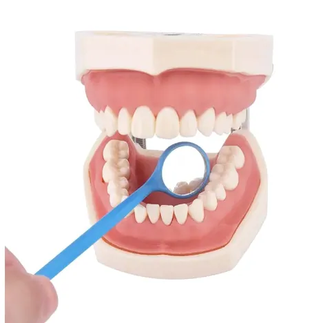 Disposable Dental Exam Mouth Mirrors: Essential Tool in Oral Healthcare