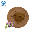 Water Soluble 80% Milk Thistle Extract Silibinin Powder