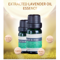 Lavendelolie 100% pure natuurlijke etherische olie