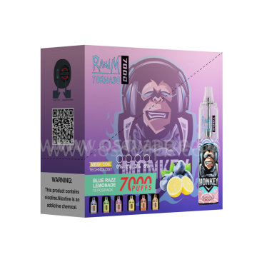 RandM Tornado Disposable Vape 7000 Puffs