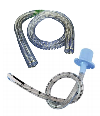 Screenshot 2025-02-28 135401