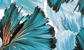 Waterproof Nylon Taffeta Fabric for Down Garment