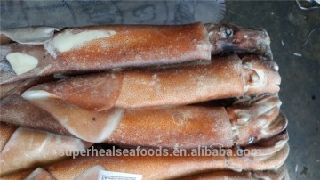 Frozen Argentina Illex Squid