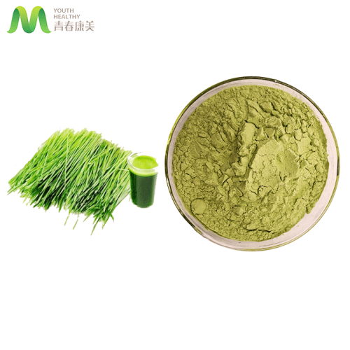 Pure Barley Grass Juice Powder