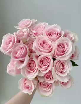Single Headed Pink Roses for Gift Bouquets
