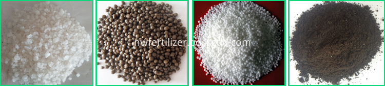 Controlled Release Fertilizers Granular Compound Fertilizer