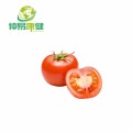 Extracto de tomate natural al 10% de licopeno en polvo