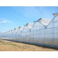 Multi-span cheap agricultural film Tunnel Plastic greenhouse