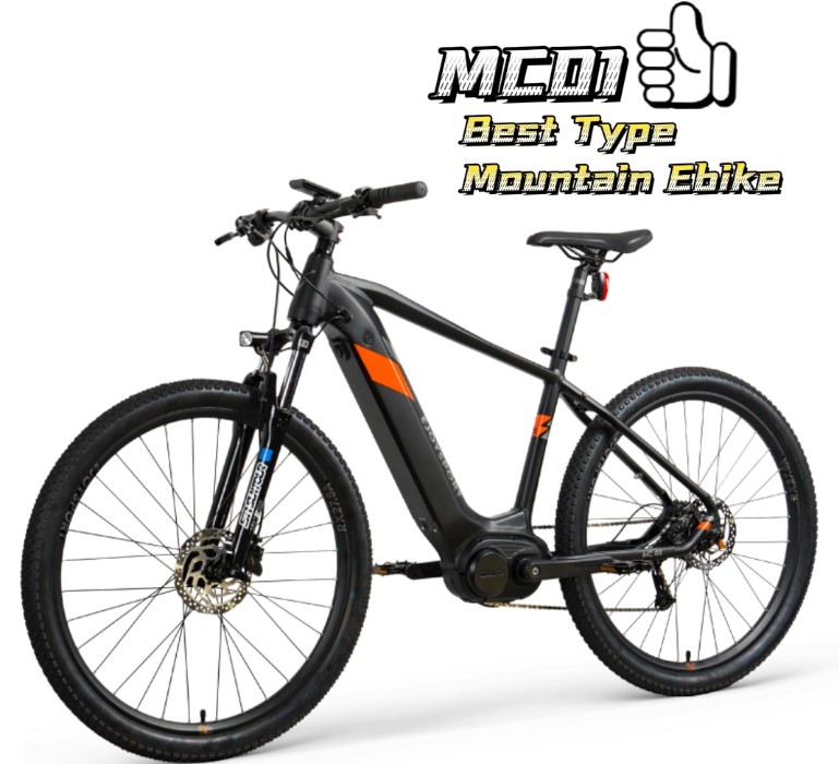 Second Hand Ebike For Sale
