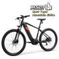 E Fahrrad All Mountain MC01