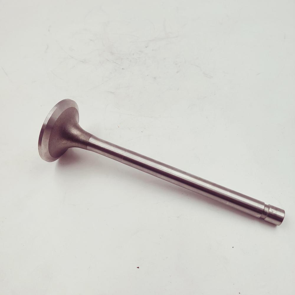 Exhaust Valve 3035110
