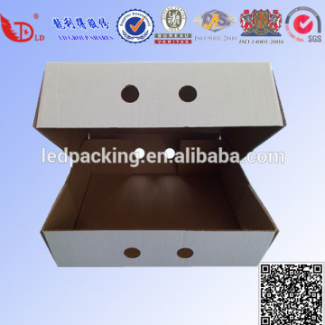 Wholesale white paper frozen food box in freezer