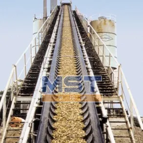 EE Baggage Conveyor Belt