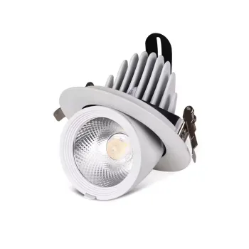 Adjustable LED Down Lights, COB LED Gimbal & Trunk Light in Warm and Cold White, 15W, 20W, 30W - Rotatable Decorative Lamps