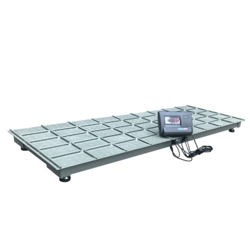 Cattle Weight Scales & Measurement Equipment