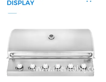 Oven with Built-in Grill