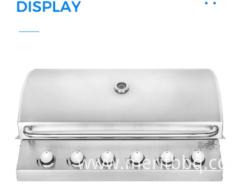 Oven with Built-in Grill