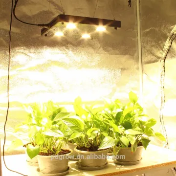 Wholesale Energy Savings Full Spectrum 360W Agriculture cob LED Grow Light