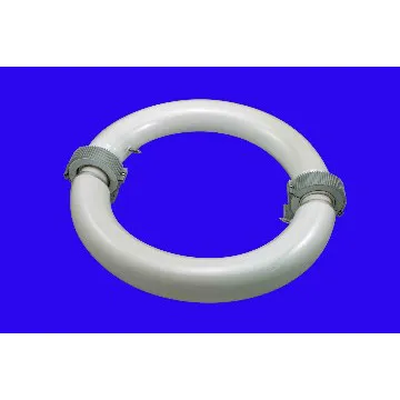 induction light bulbs 200w