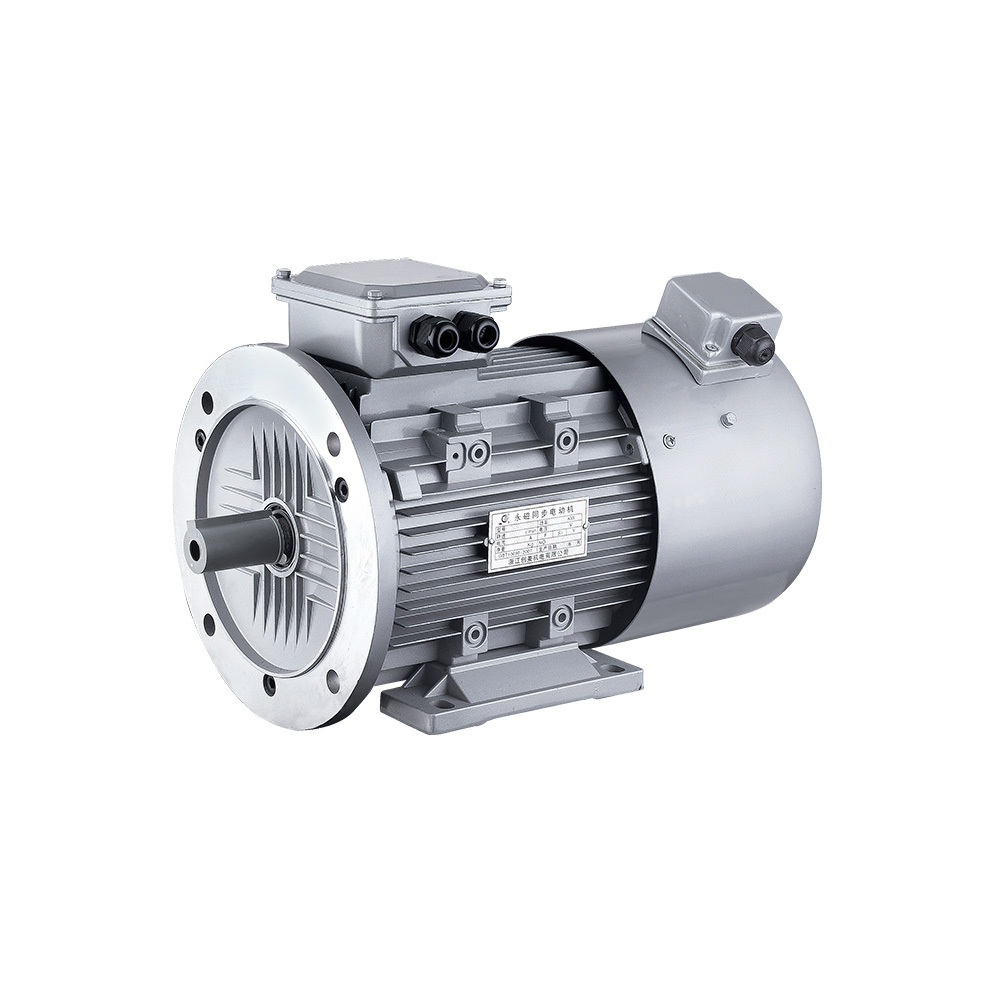 Permanent magnet synchronous motor07-2-y