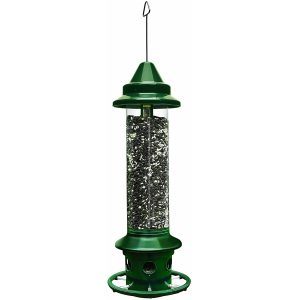 Squirrel Buster Plus Squirrel Proof Bird Meeder