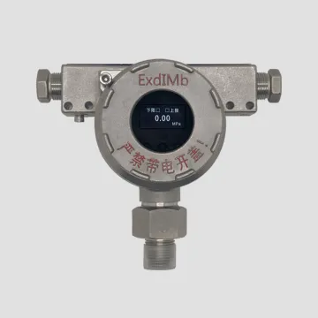 Explosion Proof LED Display and Pressure Transmitter for Underground Mining Equipment