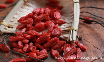 dried goji berries fruit