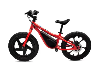 E balance kids bikes 16``