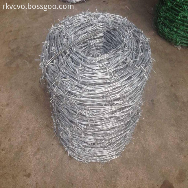 barbed wire mesh17