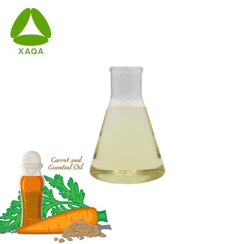 Organic Natural 99% Cold-Pressed Carrot Seed Essential Oil