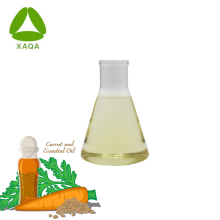 Natural orgánico 99% Aceite esencial de semillas de zanahoria prensada en frío