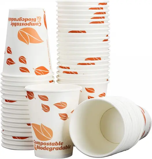 Biodegradable Disposable coffee 12OZ cup