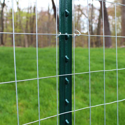 Garden GBW Wire Mesh for Farm Ranch 2ft