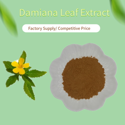 Natural Damiana Extraktpulver mit gutem Preis