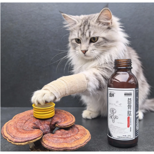 Mejorador de flexibilidad de las articulaciones de mascotas