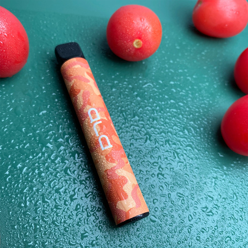 Nicotine Juice Flavored Disposable Smoke Kit Vape