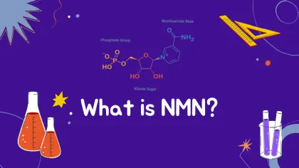 Nmn 99% Beta-Nicotinamide Mononucleotide Nmn